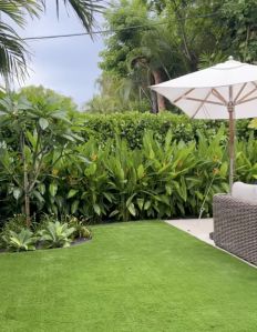 Goa Landscape Design Services