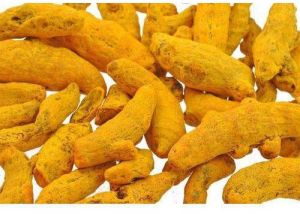 Finger Turmeric