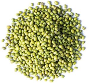 Natural Green Moong, Packaging Type : PP Bag