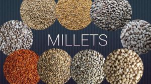 Millet
