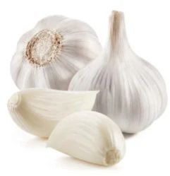 A Grade Fresh Organic Garlic