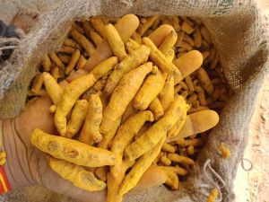 Turmeric Good Grade