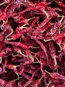 2043 Byadgi Red Chilli