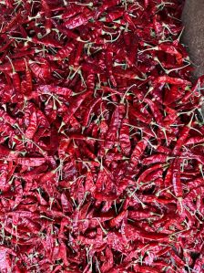 Guntur Sanam 334 Red Chilli