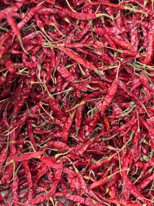Natural Shark 01 Red Chillies, Packaging Size : 5Kg, 10Kg, 25Kg