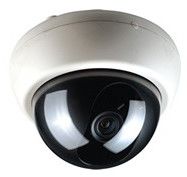 Dome Cameras