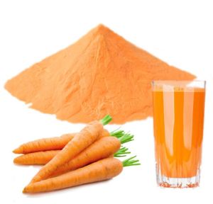 Carrot Juice Powder, Color : Orange, Packaging Type : Sealed Bag
