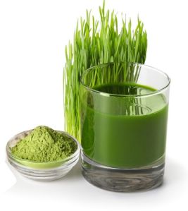 Wheatgrass Juice Powder