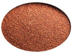 Finger Millet (Ragi)