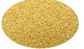 Foxtail Millet (Kangni)