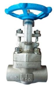 API 602 Gate Valve, ASTM B462 N08020, 1 Inch, Class 800 LB