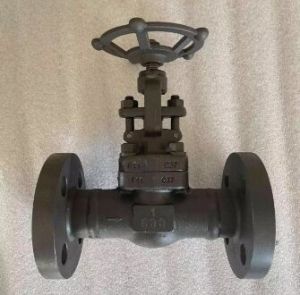 API 602 Globe Valve, ASTM A182 F11, 1 Inch, Class 600 LB, RF