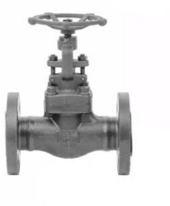 ASTM A105N Globe Valve, Bs 5352, OS &AMP;AMP; Y, 1-1/2 Inch, 300 LB