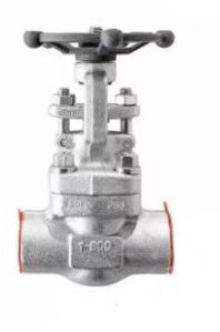 Bolted Bonnet Gate Valve, ASTM A182 F304, Sw, 1 Inch, 800 LB