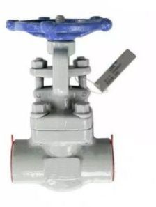 Bs 5352 Solid Wedge Gate Valve, ASTM A105N, 1 Inch, 800 LB