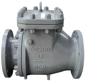 Integral Seat Check Valve, En 1984, Wcb, 8 Inch, 150 LB, RF