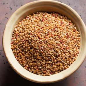 Sorghum Seeds Small Round