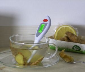 Digital Thermometer