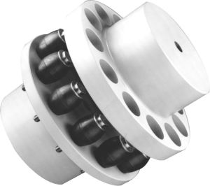 B-FLEX: Rb Pin &AMP;AMP; Bush Couplings