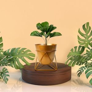 Stand | Pots for Plants,