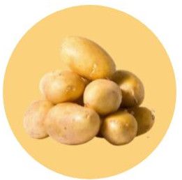 Jyoti Potatoes