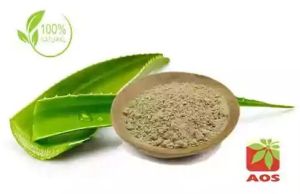 Aloe Leaf Powder