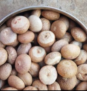 Common Betel Nut Supari, Color : Brown, Form : Solid