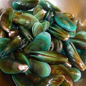 Frozen Green Mussel for Cooking
