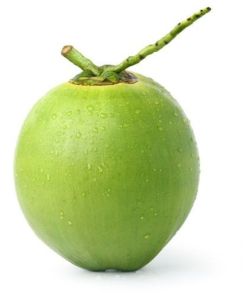 Organic Green Tender Coconut, Packaging Type : Gunny Bags