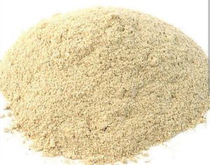 Oyester Mushroom Powder