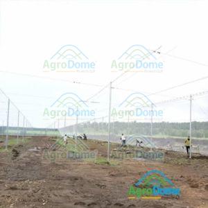Protected Cultivation Greenhouse For Fruits Farming