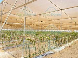 Shade Net House For Dragon Fruit Orchards