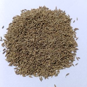 European Quality Cumin Seeds, Color : Brown 2%