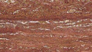 Imported Travertino Rosso Granite Slab