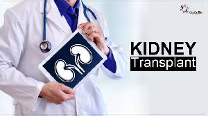 Kidney Transplantation Service