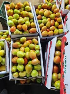 Tomato, Packaging Type : Red