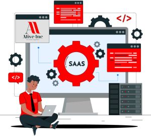 software development