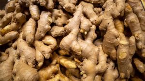 Ginger, Packaging Size : 50Kg Carton for Spices
