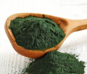 organic spirulina powder