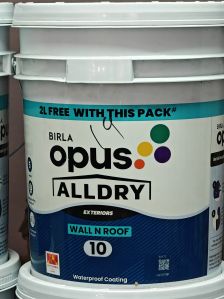 Birla Opus All Dry 10 Distemper