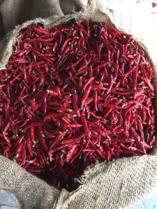 Fresh Red Chilli, Packaging Type : Loose Or In A Mesh Bag