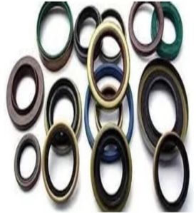 Oil Seals