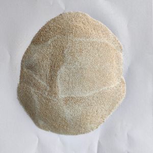 Bile Acid Powder Bile Powder Poultry Feed