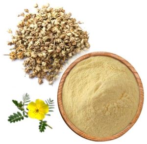 Tribulus Terrestris Powder, Color : Brown