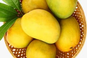 Fresh Mango for Dessert