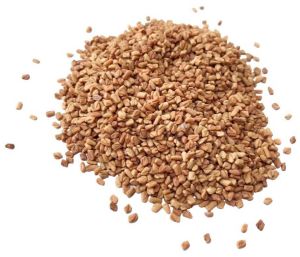 Fenugreek Seed