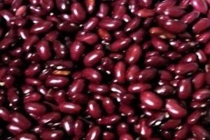 Golfa Munsyari Rajma Red
