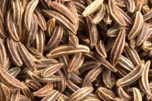 Caraway Seeds, Color : Brown