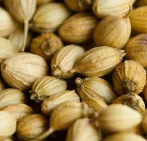 Coriander Seeds, Color : Brown for Cooking, Medicinal Purposes