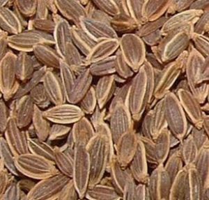 Dill Seeds, Color : Brown